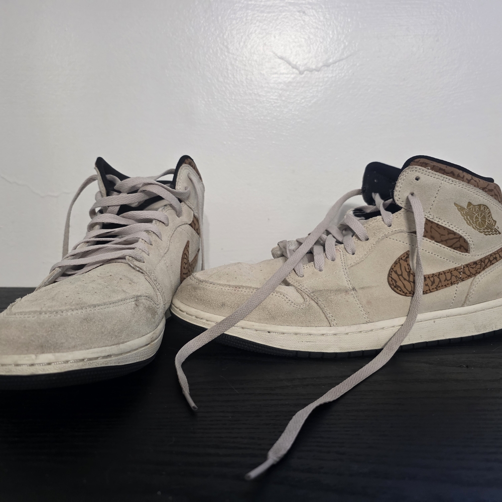 Nike Air Jordan Brown Elephants